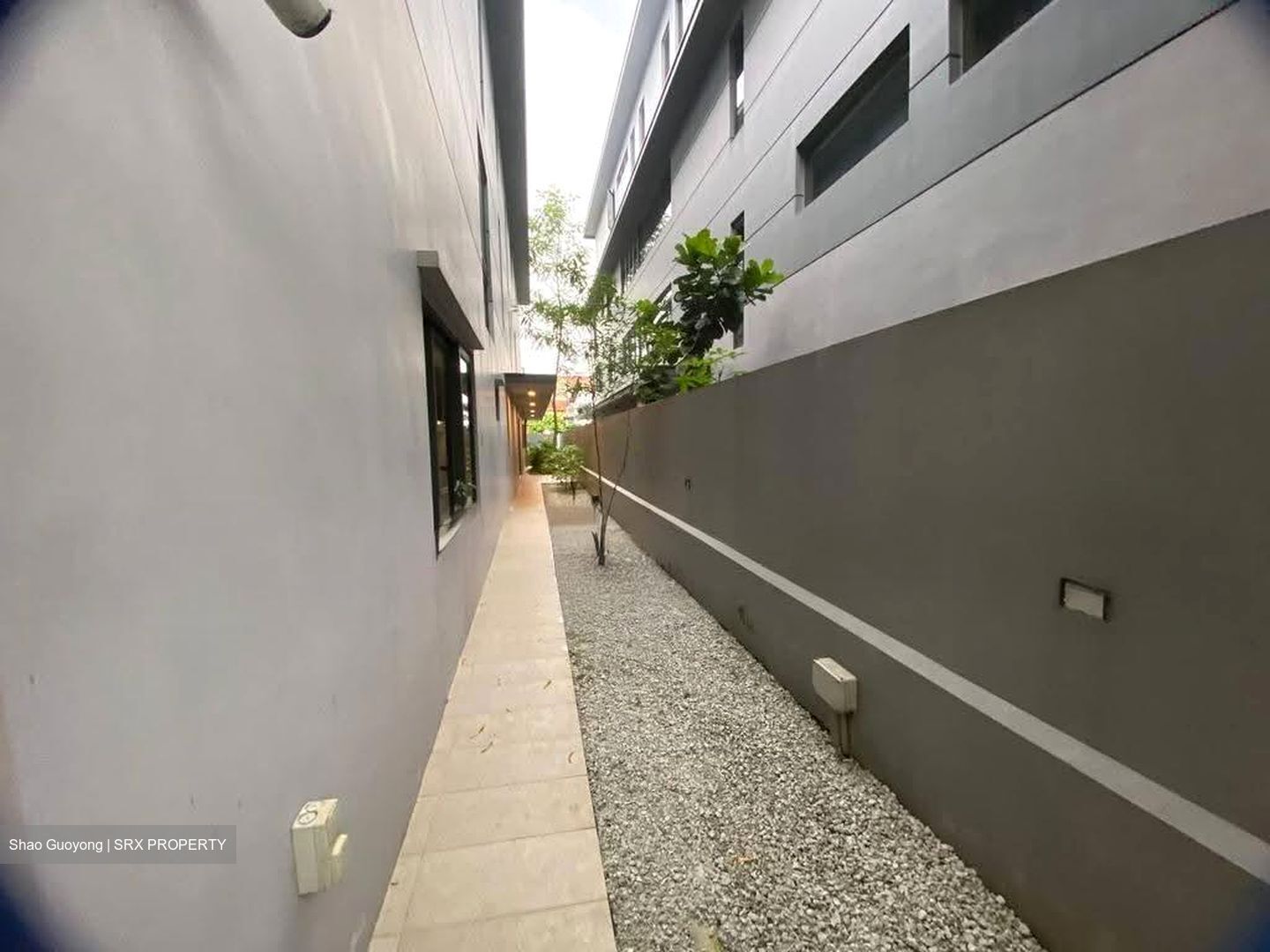 Braddell Heights Estate (D13), Detached #614723471